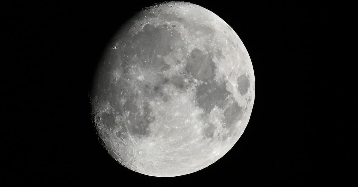 «Moon Rice» : ou comment des scientifiques italiens planchent sur du riz à cultiver sur la Lune