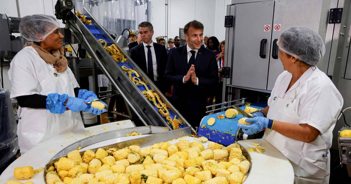 «En attendant les aides, j’ai le temps de mourir» : à la Réunion, Macron déçoit le monde agricole