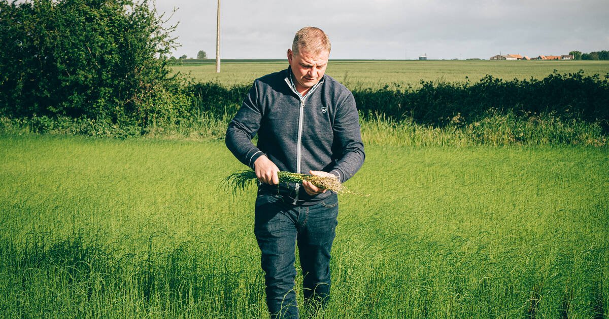 Pour les agriculteurs du Nord confrontés à la sécheresse, l’eau ne coule plus de source