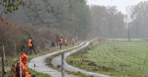 Les chasseurs veulent arrêter de payer pour les sangliers