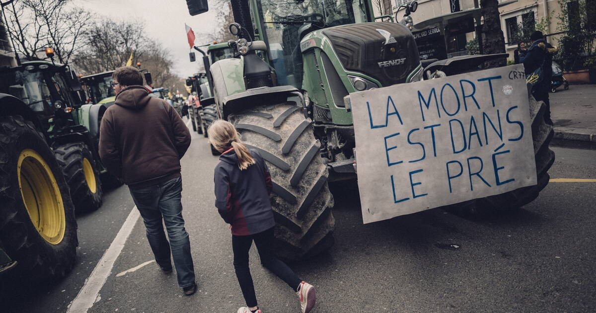 Agriculture intensive : la FNSEA fait sa loi au Parlement