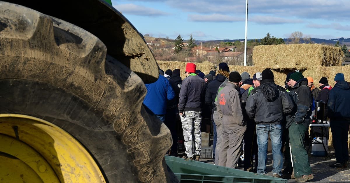 Taxe sur les engrais, Mercosur, PAC, dermatose : les dossiers qui fâchent les agriculteurs
