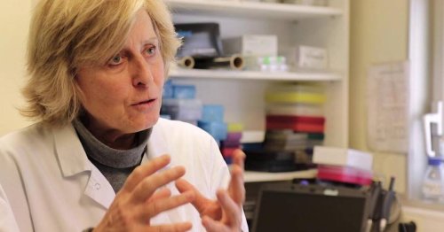 L’immunologue Brigitte Autran, nouvelle figure officielle de la lutte anti-épidémies