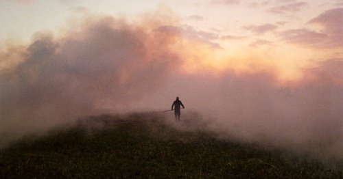 Cannes 2025 : «Rietland», tout n’est pas roseau