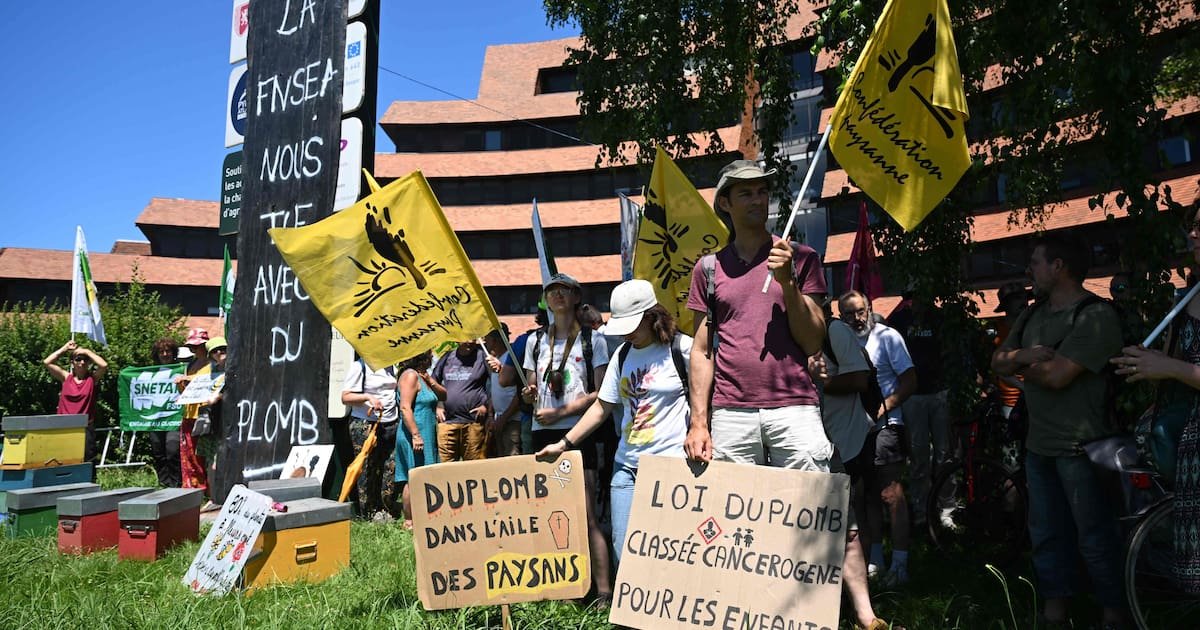 Pétition contre la loi Duplomb : existe-t-il vraiment des alternatives à l’acétamipride ?