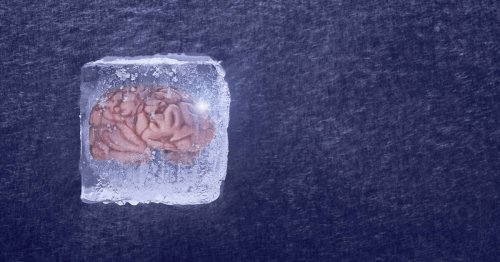 Cryogénisation des cadavres : le mauvais coup de froid