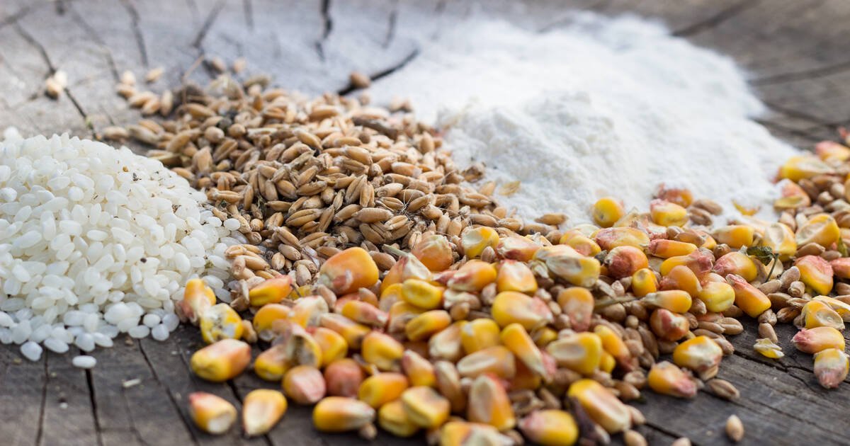 Cacao, riz, blé : comment le réchauffement et la perte de la biodiversité mettent en péril nos assiettes en créant de la pénurie