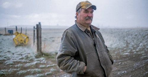 «On nous tue financièrement» : les agriculteurs du Montana en première ligne de la tempête commerciale de Donald Trump