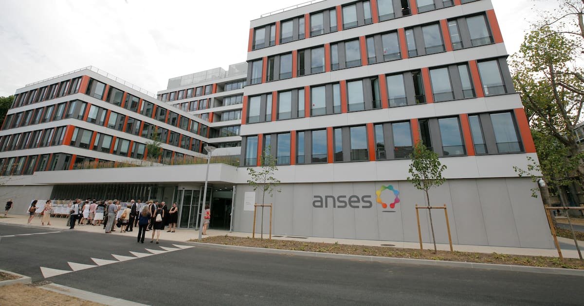 Après la loi Duplomb, le gouvernement passe par la fenêtre pour fissurer l’indépendance de l’Anses