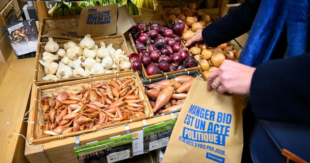 La crise du bio est finie, Biocoop veut ouvrir 160 magasins d’ici à 2029