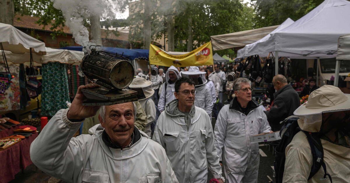 Chercheurs et médecins appellent à rejeter la proposition pro-pesticides du sénateur Laurent Duplomb