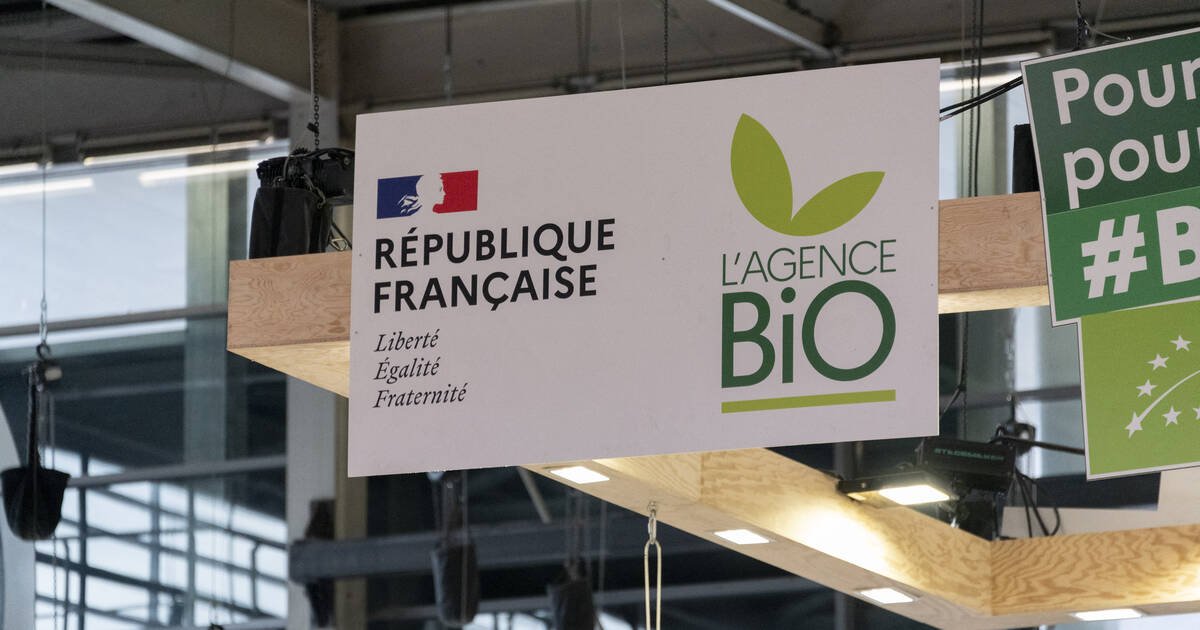 Agriculture : le Sénat démantèle l’Agence bio