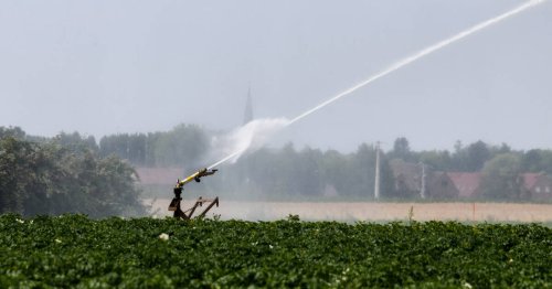 Le département du Nord placé en «vigilance sécheresse», à cause du manque de pluies et des températures élevées
