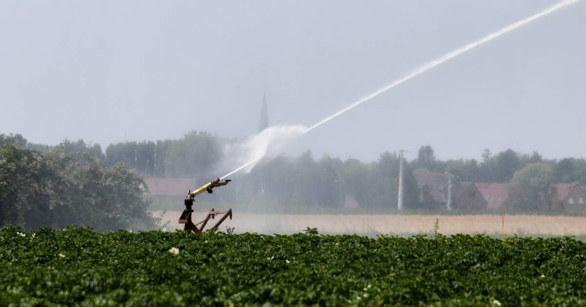 Le département du Nord placé en «vigilance sécheresse», à cause du manque de pluies et des températures élevées