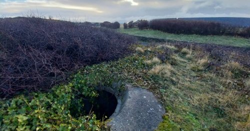 En Bretagne, faut-il dépolluer les encombrants vestiges des marées noires ?