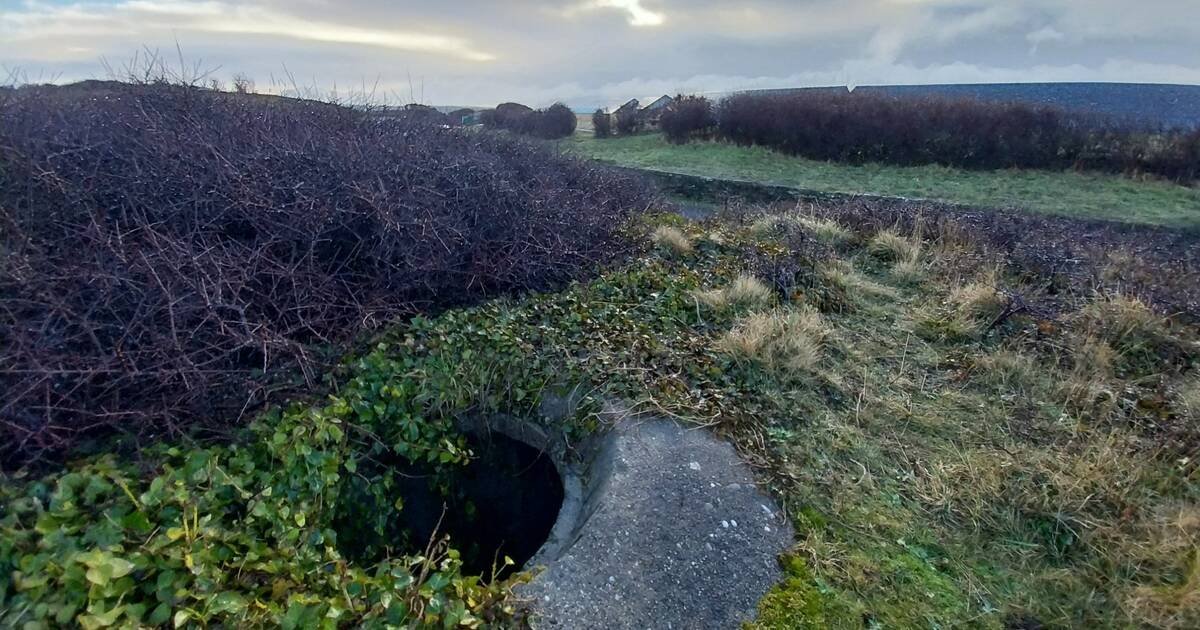 En Bretagne, faut-il dépolluer les encombrants vestiges des marées noires ?