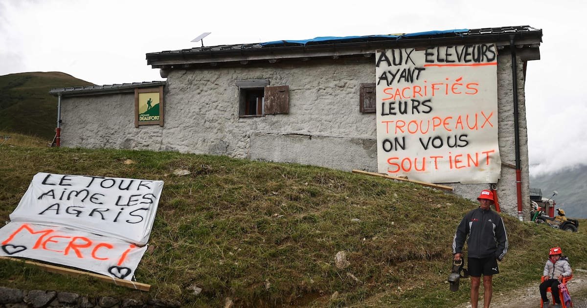 «Aujourd’hui c’est la fête et demain on abat le troupeau ?» : sur le Tour de France, des éleveurs «à cran» face à la dermatose nodulaire contagieuse
