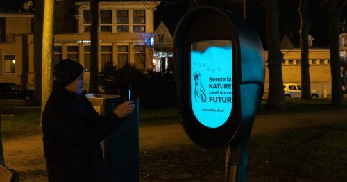 A Rambouillet, des bactéries marines illuminent pour la première fois la ville