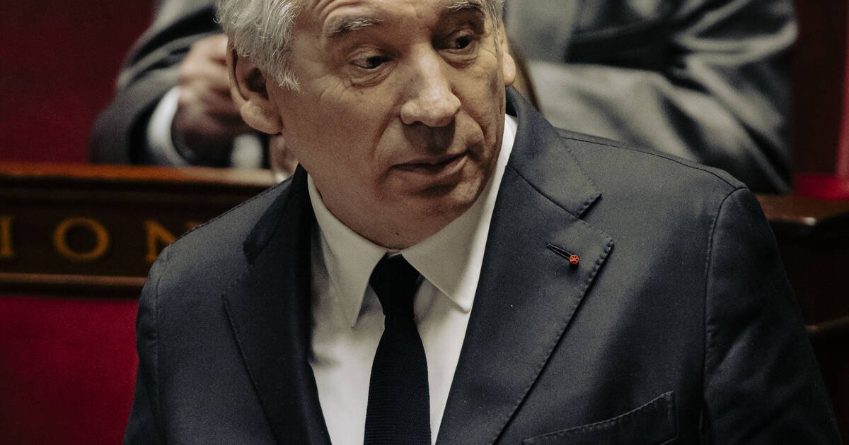 Déclaration de politique générale : Bayrou fait l’impasse sur l’environnement