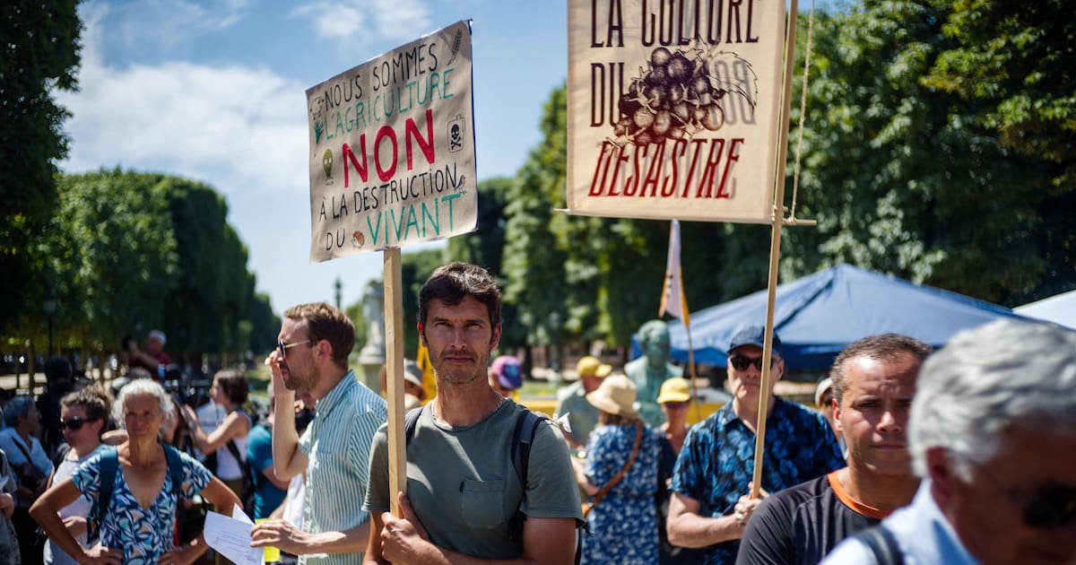 Loi Duplomb : «Si cela conduit à ce que les producteurs arrêtent de rechercher des alternatives au néonicotinoïde réautorisé, c’est une catastrophe»