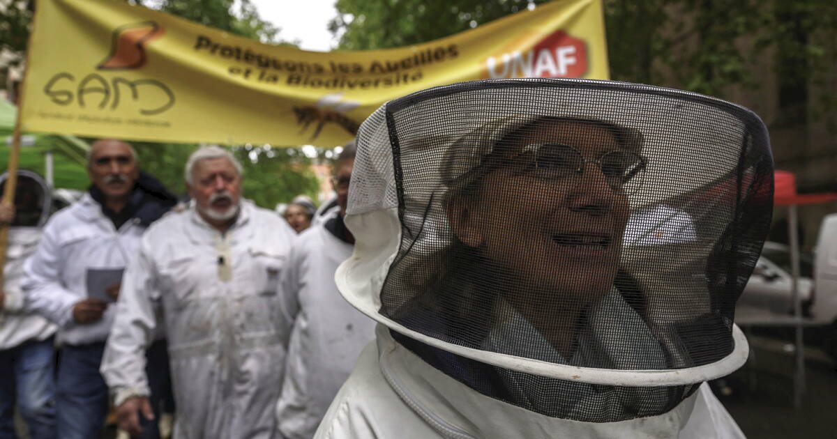 Agro-industrie : la FNSEA ferraille pour maintenir sa loi