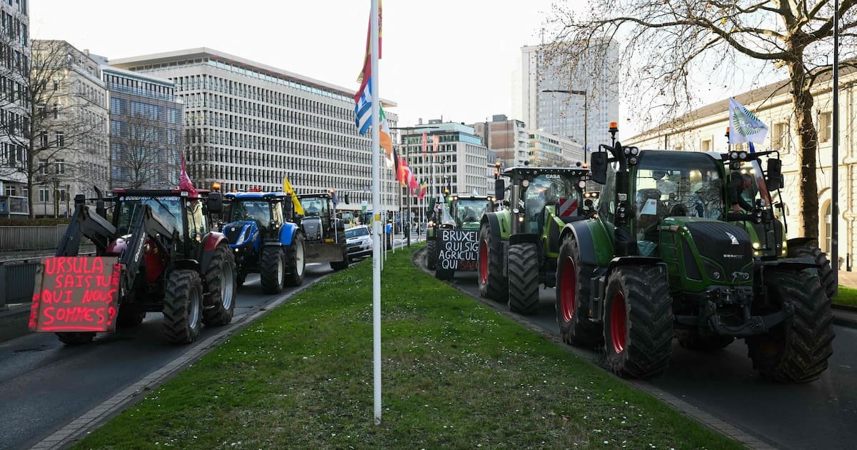 Mercosur : le traité de libre-échange entre l’UE et des pays d’Amérique du Sud va être signé au Paraguay