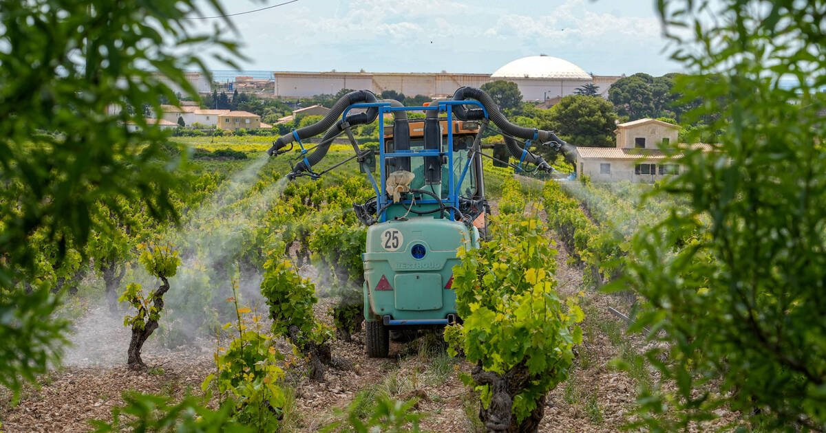 Agriculture : l’Inrae préconise une refonte de l’indicateur utilisé par le gouvernement pour évaluer l’usage de pesticides