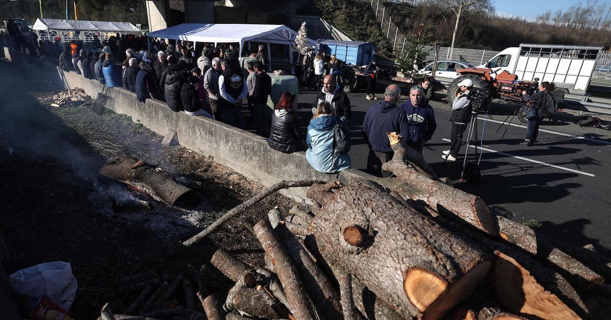 Dermatose : face aux abattages, de Mélenchon à Le Pen, le soutien de la classe politique à la mobilisation