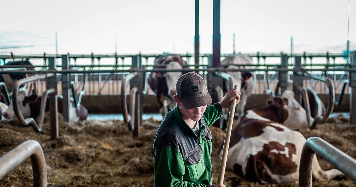 «On veut être l’exemple de ceux qui se battent» : après l’abandon par Lactalis, les éleveurs de Haute-Saône veulent se reconstruire en collectif