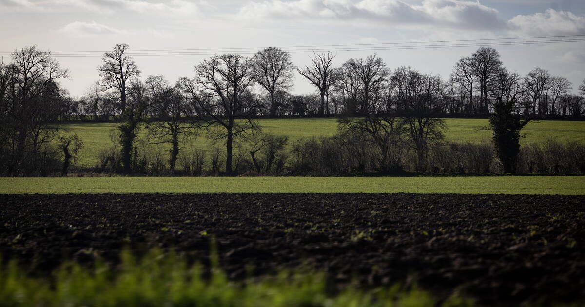 Sols agricoles : l’avenir n’est pas dans l’abandon des normes sanitaires et écologiques