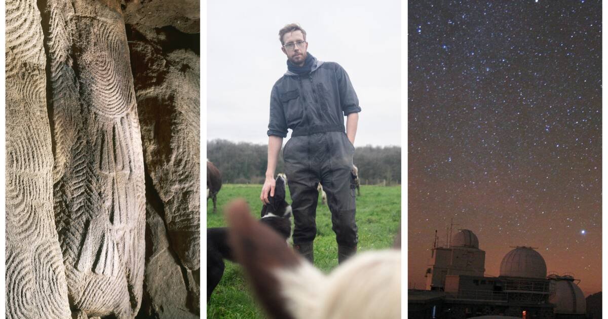 10 articles qui nous ont rendu joyeux cette semaine : les secrets de pierres millénaires, un agriculteur en conversion vers le bio et la beauté des étoiles