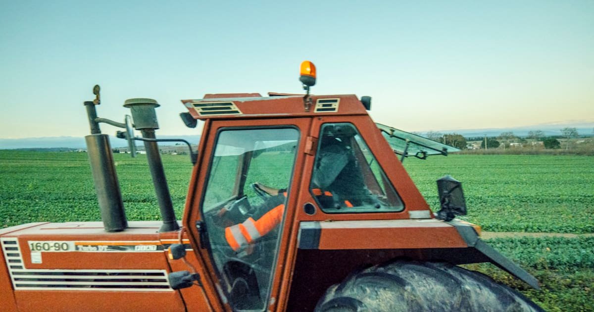 Trafic de pesticides interdits dans le Sud-Est : prison ferme requise contre un important maraîcher et son fournisseur