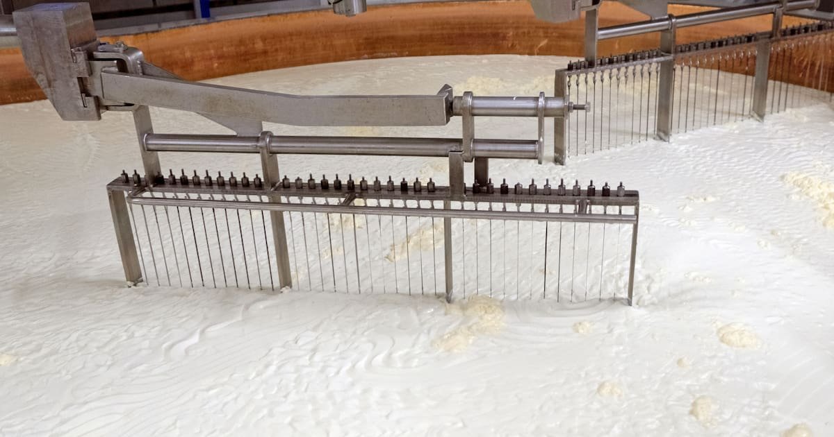 Taxe chinoise sur les produits laitiers européens en vigueur ce mardi : «coup de massue» pour les exportateurs français