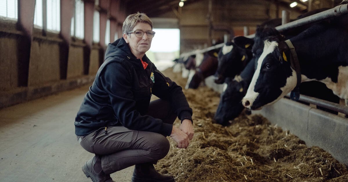 Au Danemark, une première taxe climatique mondiale sur l’élevage : «Nous avons désormais un cap à tenir»