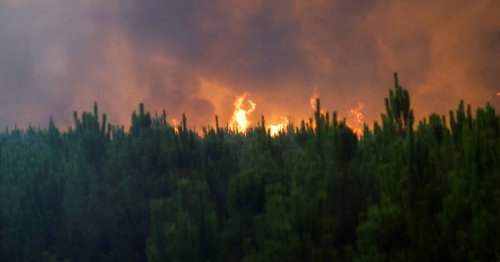 L’incendie «pousse» encore en Gironde, l’Arctique en surchauffe, la centrale de Zaporijjia à nouveau visée par des missiles... L’actualité de ce jeudi