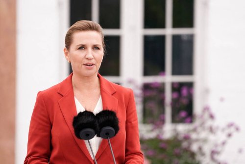 Danemark : élections législatives anticipées sur fond d’une affaire de visons