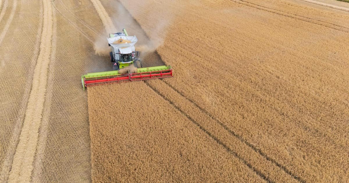 Pourquoi les propositions de la Commission européenne sur la PAC ne plaisent à personne