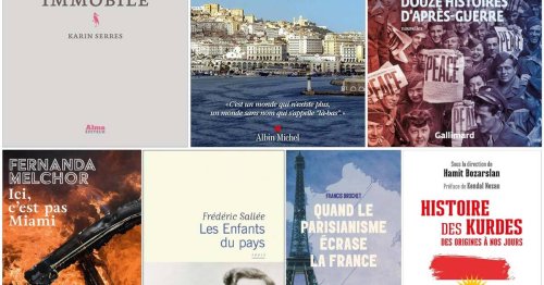 En librairies : Karin Serres, Caroline Tiné, Graham Swift...