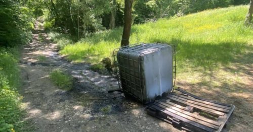 «Comment peut-on oser faire de telles choses ?» : un millier de litres d’huile de vidange déversé dans une rivière près de Lyon