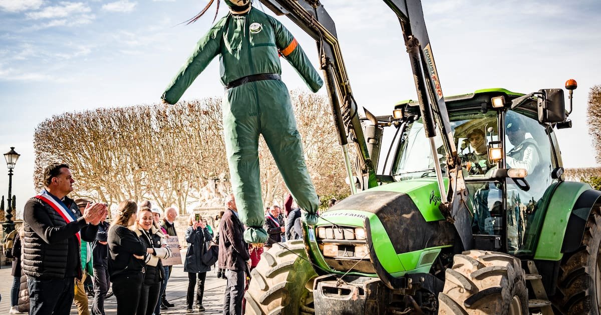 Mal-être agricole : après un suicide, la souffrance des proches qui restent
