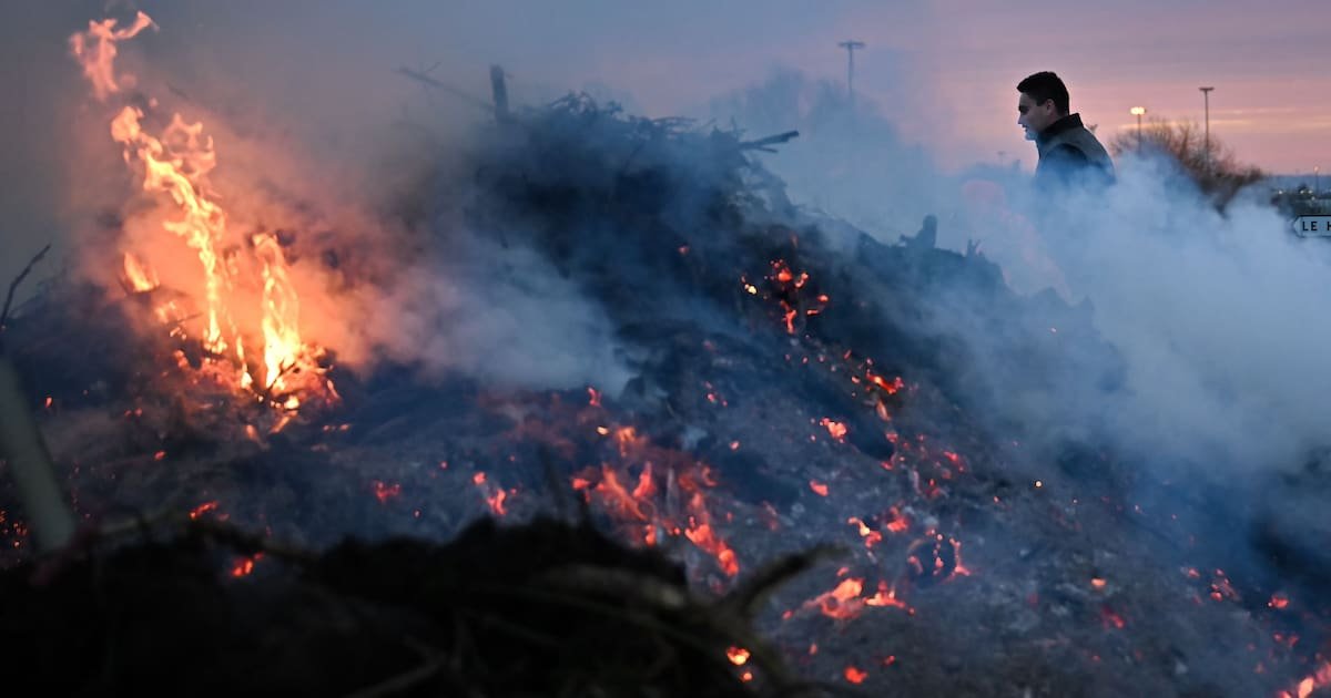 Signature de l’accord avec le Mercosur : pour les éleveurs, «le combat de la compétitivité est perdu d’avance»