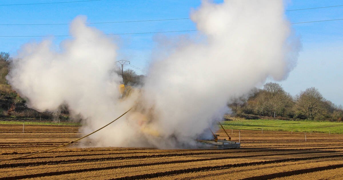 Pesticides : une carte interactive pour connaître l’exposition des départements