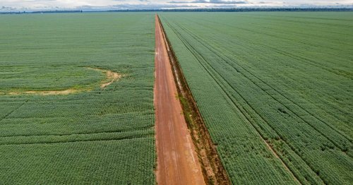 Accord UE-Mercosur : Nous ne voulons ni rivaliser avec les fermes brésiliennes, ni leur ressembler