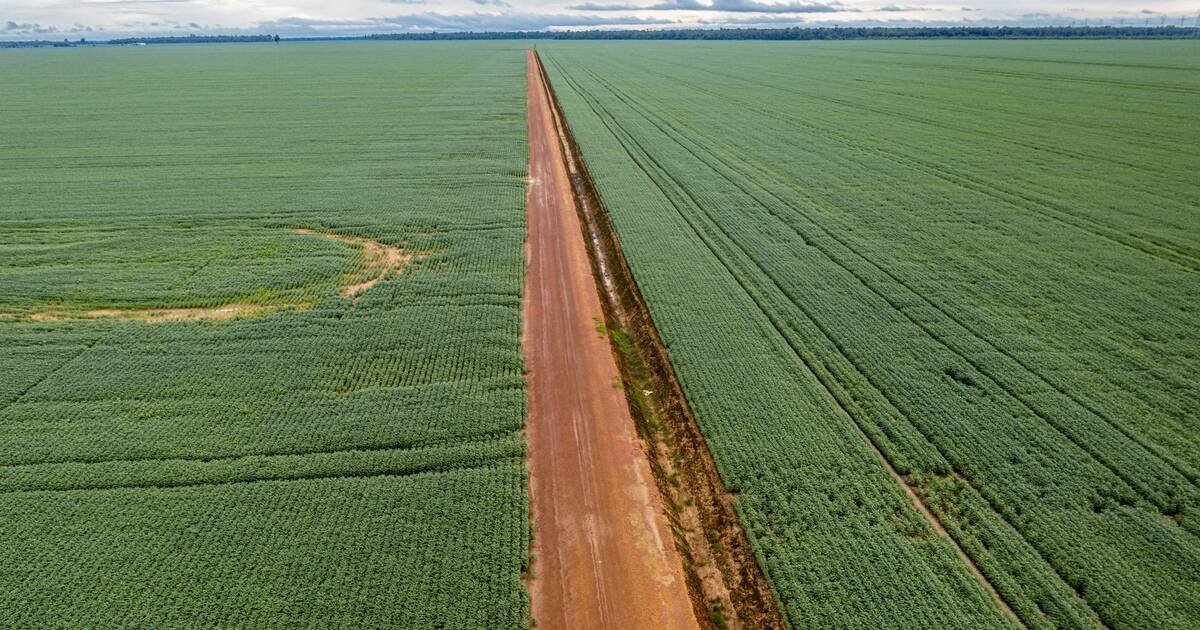 Accord UE-Mercosur : Nous ne voulons ni rivaliser avec les fermes brésiliennes, ni leur ressembler