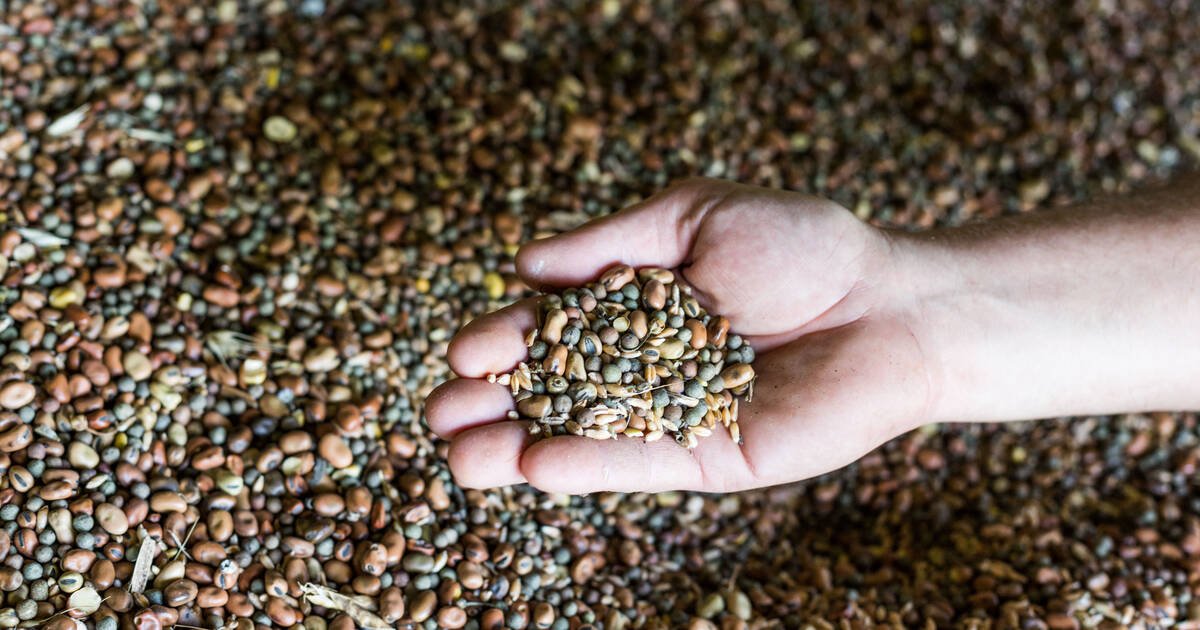 Aides de l’agence bio : «C’est le petit maillon qui permet de boucler la chaîne»