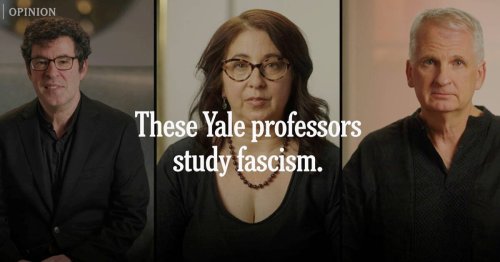 «Je veux faire mon travail sans avoir peur d’être puni» : trois professeurs de l’université de Yale s’exilent au Canada