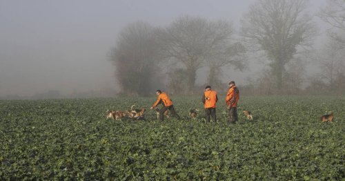 La chasse, bientôt au patrimoine mondial de l’Unesco ? Loin d’être joué