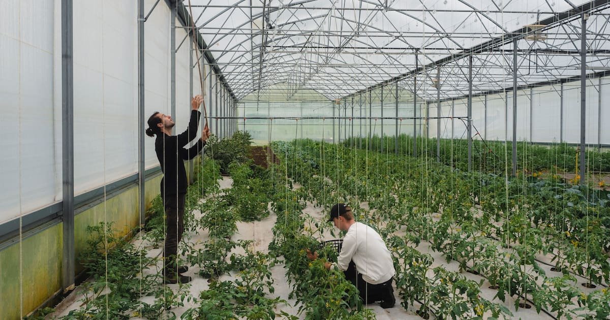 Restauration scolaire : pour les agriculteurs, un débouché qui monte