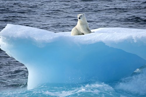 Un nobel, un ex de la NASA y científicos españoles alertan sobre el fracaso total de los modelos climáticos