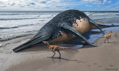 Hallan restos del reptil marino más grande jamás conocido